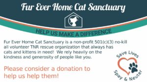 donation card 1280 Fur Ever Home Cat Sanctuary
